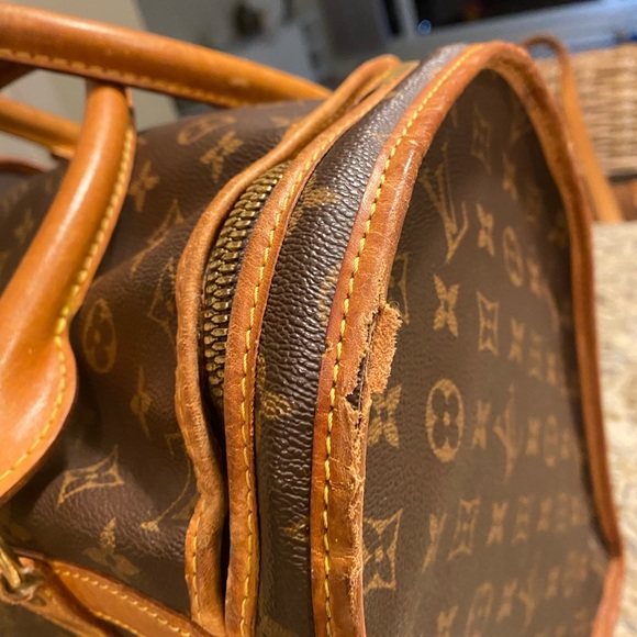 Louis Vuitton Dog Carrier - Picture 6 of 8